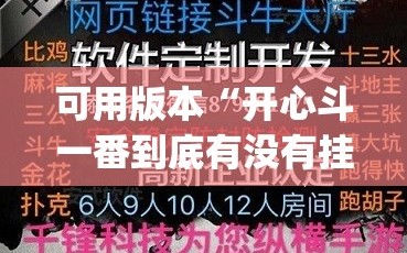可用版本“开心斗一番到底有没有挂”(透视挂)辅助下载教程
