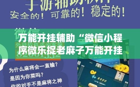 万能开挂辅助“微信小程序微乐捉老麻子万能开挂神器”开挂(透视)辅助神器