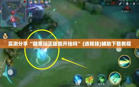 实测分享“随意玩正版能开挂吗”(透视挂)辅助下载教程