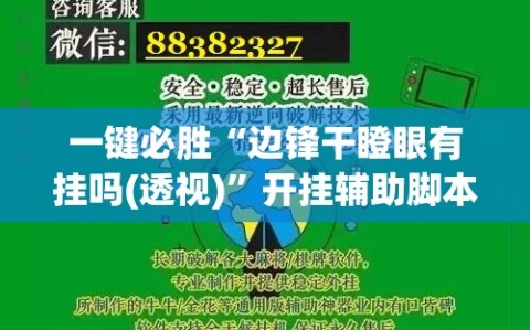 一键必胜“边锋干瞪眼有挂吗(透视)”开挂辅助脚本+详细开挂安装教程