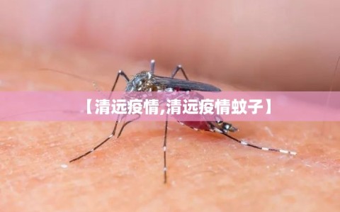 【清远疫情,清远疫情蚊子】