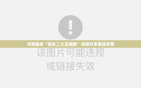 可用版本“微乐二七王辅助”详细分享装挂步骤