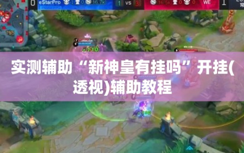 实测辅助“新神皇有挂吗”开挂(透视)辅助教程