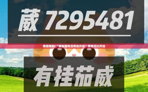 教程辅助!“麻友圈有没有挂开挂”原来可以开挂
