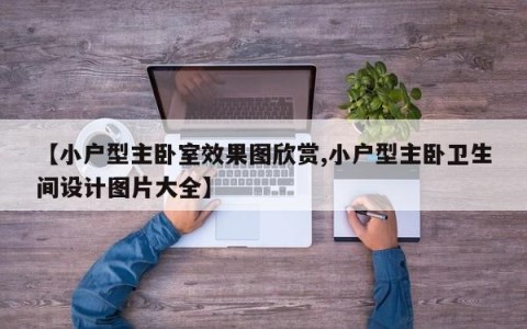 【小户型主卧室效果图欣赏,小户型主卧卫生间设计图片大全】