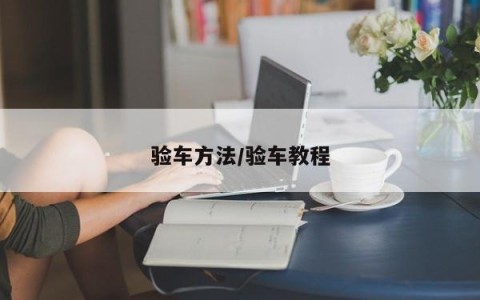 验车方法/验车教程