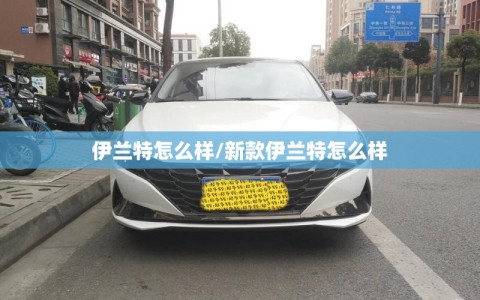 伊兰特怎么样/新款伊兰特怎么样
