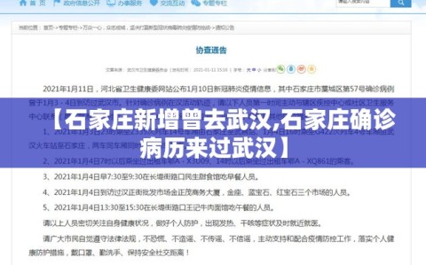 【石家庄新增曾去武汉,石家庄确诊病历来过武汉】