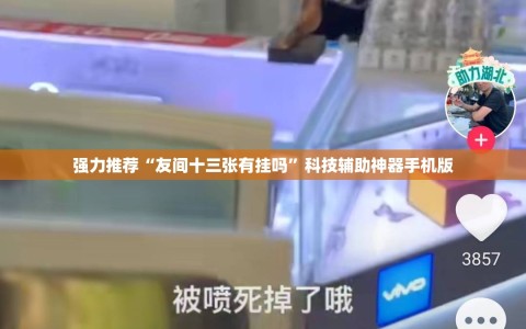 强力推荐“友间十三张有挂吗”科技辅助神器手机版