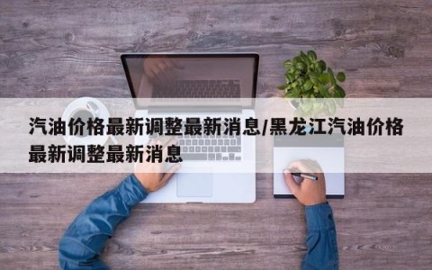 汽油价格最新调整最新消息/黑龙江汽油价格最新调整最新消息