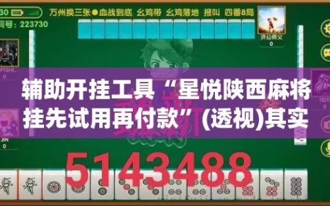 辅助开挂工具“星悦陕西麻将挂先试用再付款”(透视)其实确实有挂