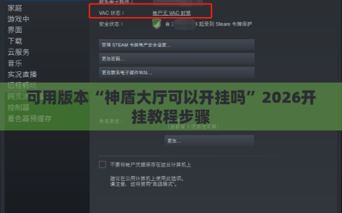 可用版本“神盾大厅可以开挂吗”2026开挂教程步骤