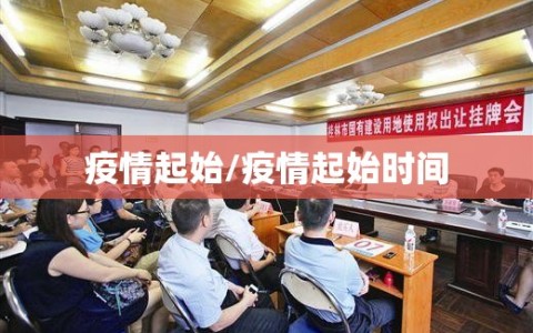 疫情起始/疫情起始时间