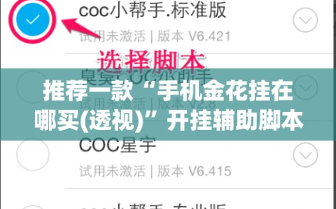 推荐一款“手机金花挂在哪买(透视)”开挂辅助脚本+详细开挂安装教程