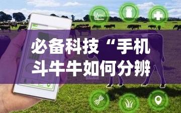 必备科技“手机斗牛牛如何分辨是不是有挂”(透视)其实确实有挂