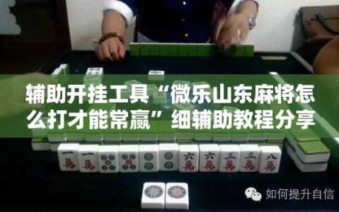 辅助开挂工具“微乐山东麻将怎么打才能常赢”细辅助教程分享