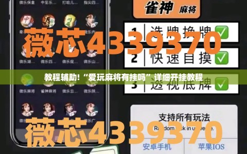 教程辅助!“爱玩麻将有挂吗”详细开挂教程