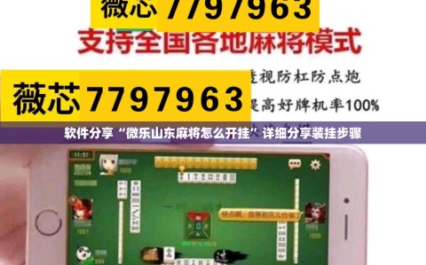 软件分享“微乐山东麻将怎么开挂”详细分享装挂步骤