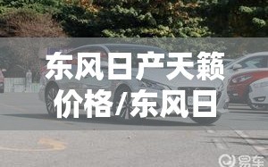 东风日产天籁价格/东风日产天籁参数配置