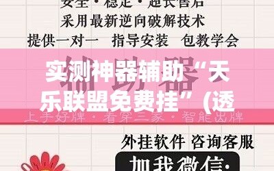 实测神器辅助“天乐联盟免费挂”(透视挂)辅助下载教程