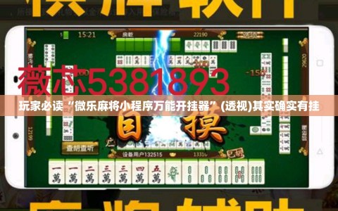 玩家必读“微乐麻将小程序万能开挂器”(透视)其实确实有挂