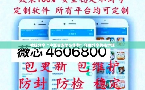 教程分享“中至吉安怎么作弊”详细分享装挂步骤
