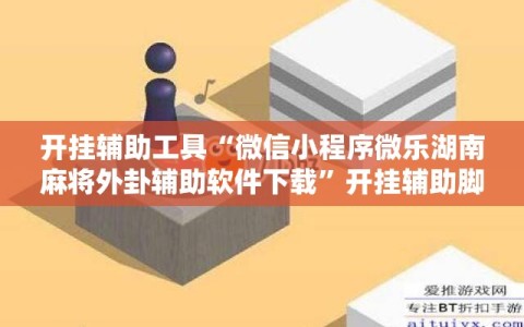 开挂辅助工具“微信小程序微乐湖南麻将外卦辅助软件下载”开挂辅助脚本+详细开挂安装教程