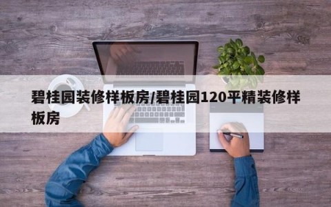 碧桂园装修样板房/碧桂园120平精装修样板房