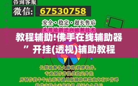 教程辅助!佛手在线辅助器”开挂(透视)辅助教程