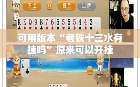 可用版本“老铁十三水有挂吗”原来可以开挂