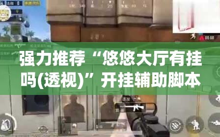 强力推荐“悠悠大厅有挂吗(透视)”开挂辅助脚本+详细开挂安装教程