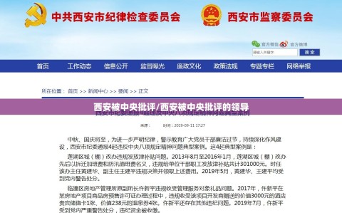 西安被中央批评/西安被中央批评的领导