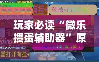 玩家必读“微乐掼蛋辅助器”原来可以开挂