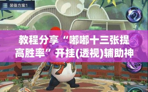 教程分享“嘟嘟十三张提高胜率”开挂(透视)辅助神器