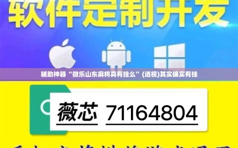 辅助神器“微乐山东麻将真有挂么”(透视)其实确实有挂