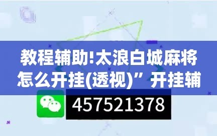 教程辅助!太浪白城麻将怎么开挂(透视)”开挂辅助脚本+详细开挂安装教程