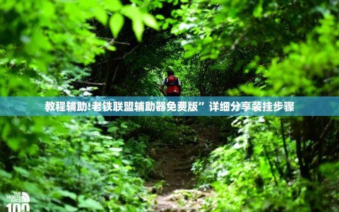 教程辅助!老铁联盟辅助器免费版”详细分享装挂步骤