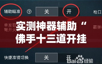 实测神器辅助“佛手十三道开挂辅助软件”开挂详细教程