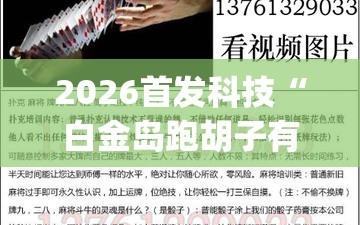 2026首发科技“白金岛跑胡子有挂吗”(辅助神器)开挂详细教程