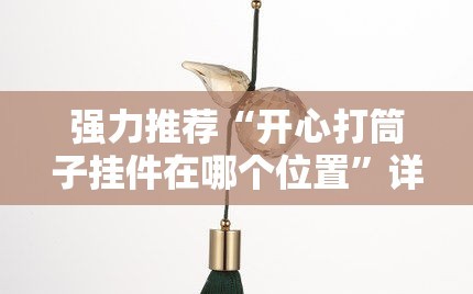 强力推荐“开心打筒子挂件在哪个位置”详细开挂教程