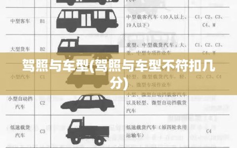 驾照与车型(驾照与车型不符扣几分)