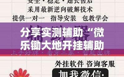 分享实测辅助“微乐锄大地开挂辅助器通用版”其实确实有挂