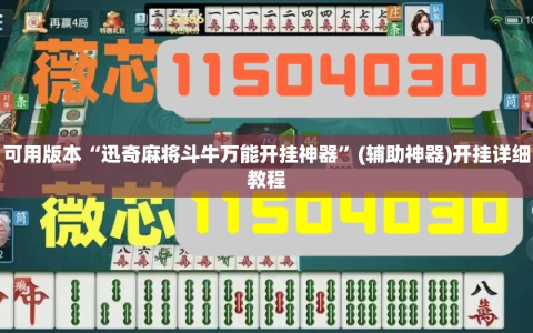 可用版本“迅奇麻将斗牛万能开挂神器”(辅助神器)开挂详细教程
