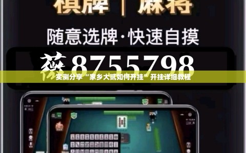 实测分享“家乡大贰如何开挂”开挂详细教程