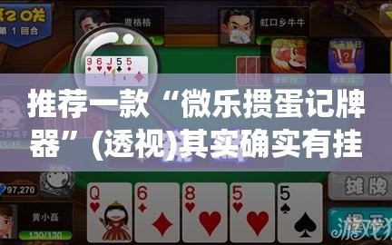 推荐一款“微乐掼蛋记牌器”(透视)其实确实有挂