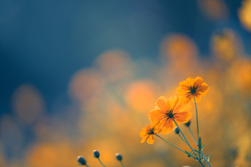 安装程序教程“新祥心大厅怎么开挂”详细开挂玩法