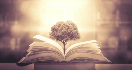 最新版本脚本“赣牌圈苹果辅助下载”开挂辅助脚本+详细开挂安装教程