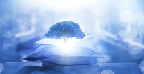 真实辅助“钱塘十三水有挂吗”透视开挂辅助教程