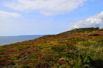 分享教程“微乐福建麻将开挂视频”分享必要外挂教程