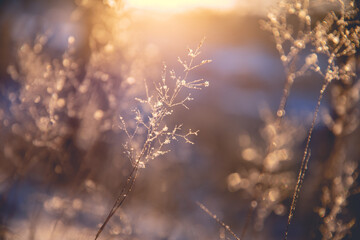 分享实测辅助“微乐河南麻将开挂神器”其实确实有挂